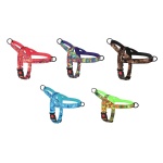 רתמת ראש מרופדת לכלב  במבחר צבעים וגדלים