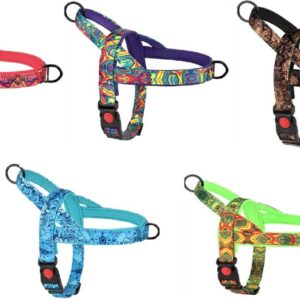 רתמת ראש מרופדת לכלב  במבחר צבעים וגדלים