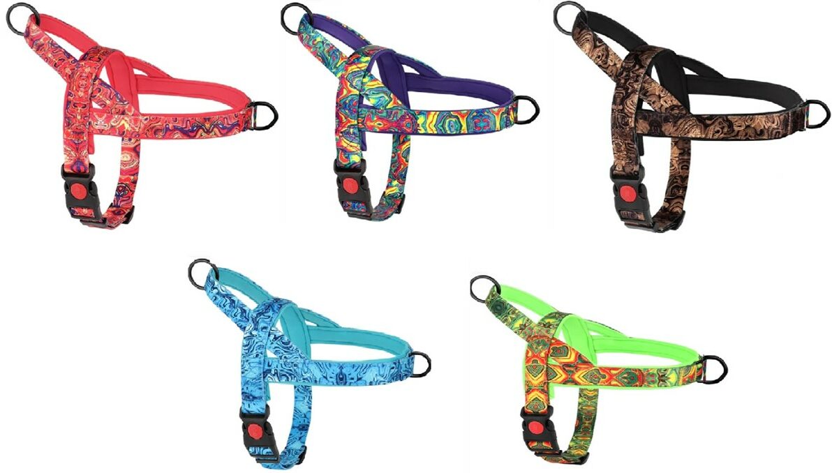 רתמת ראש מרופדת לכלב  במבחר צבעים וגדלים