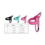 רתמת ראש לכלב במבחר צבעים וגדלים