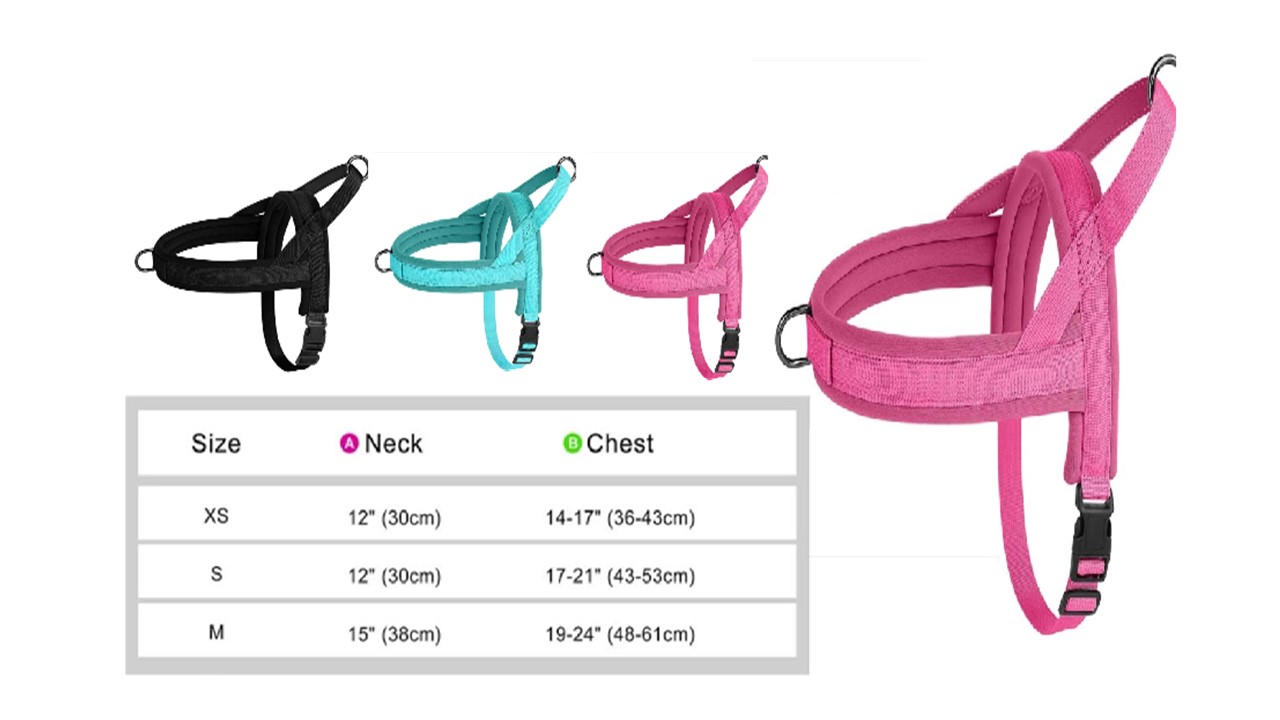 רתמת ראש לכלב במבחר צבעים וגדלים