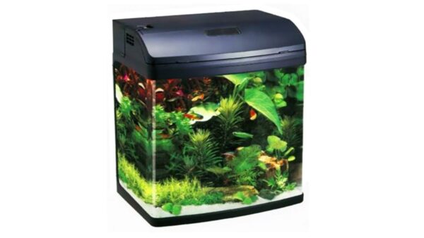 JEBO, אקווריום לדגים + פילטר + תאורה – 38 ס"מ - דגם R338