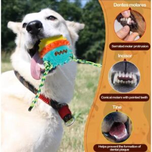 כדור דנטלי מצפצף לכלב בינוני/גדול