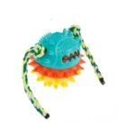 כדור דנטלי מצפצף לכלב בינוני/גדול