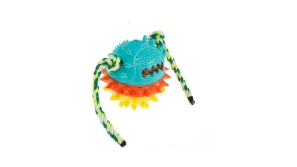 כדור דנטלי מצפצף לכלב בינוני/גדול