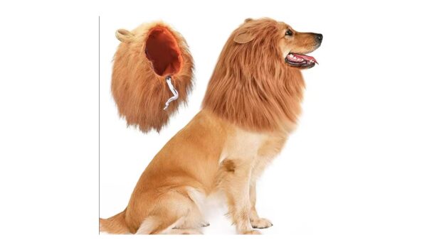 תחפושת נמר לכלב - גזע בינוני/גדול