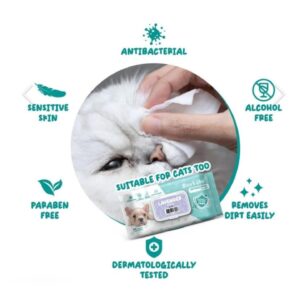 מגבונים אנטיבקטריאליים ללא רייח או בייבי פאודר - 80 יח במארז