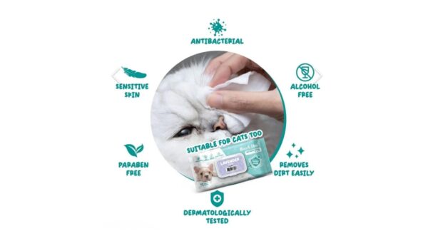 מגבונים אנטיבקטריאליים ללא רייח או בייבי פאודר - 80 יח במארז