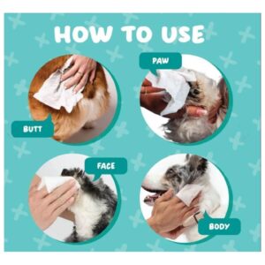 מגבונים אנטיבקטריאליים ללא רייח או בייבי פאודר - 80 יח במארז