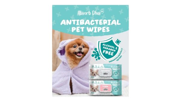 מגבונים אנטיבקטריאליים ללא רייח או בייבי פאודר - 80 יח במארז