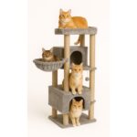 מתקן גרוד מרובה שלבים משולב עם שני בתים וערסל צבע אפור