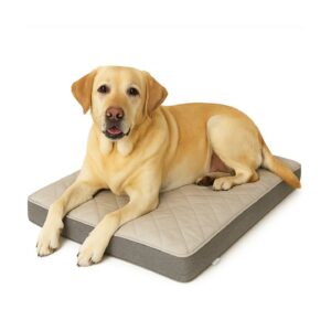 מזרן עבה ואיכותי לכלבים מגזע בינוני וגדול - מידות 75 או 90 ס"מ