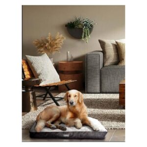 מזרן עבה ואיכותי לכלבים מגזע בינוני וגדול - מידות 75 או 90 ס"מ