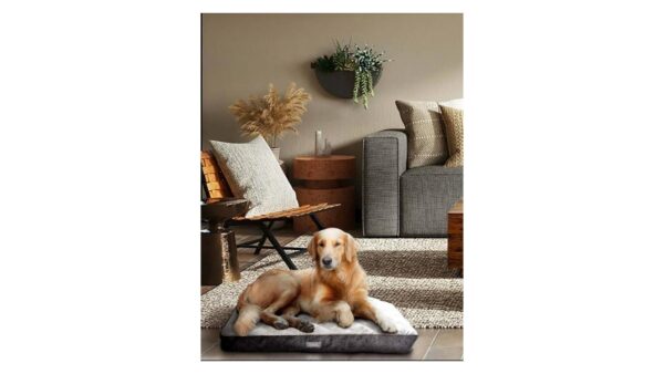 מזרן עבה ואיכותי לכלבים מגזע בינוני וגדול - מידות 75 או 90 ס"מ