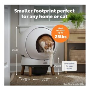 סמארט ספין, שרותים אוטומטיים לחתול