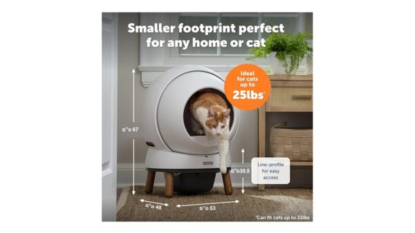 סמארט ספין, שרותים אוטומטיים לחתול