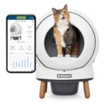 סמארט ספין, שרותים אוטומטיים לחתול