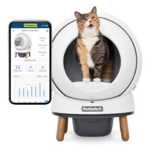 סמארט ספין, שרותים אוטומטיים לחתול