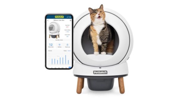 סמארט ספין, שרותים אוטומטיים לחתול