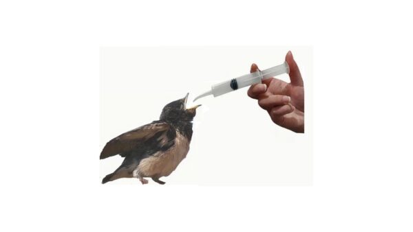 מזרק פלסטיק עם צינור להאכלת גוזלים - 12 מ"ל