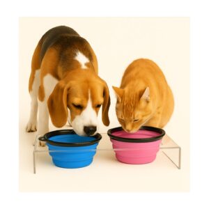 צלחת טיולים מתקפלת לכלב/חתול - 2 גדלים