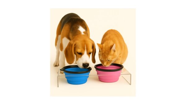 צלחת טיולים מתקפלת לכלב/חתול - 2 גדלים