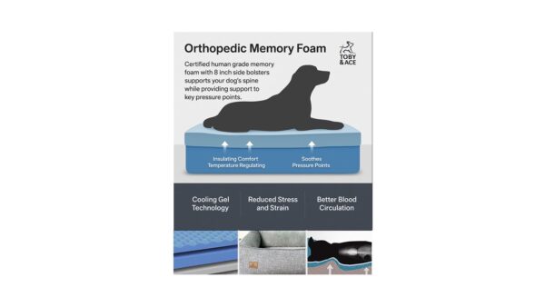 מיטה אורטופדית לכלבים מבית Toby & Ace במגוון מידות