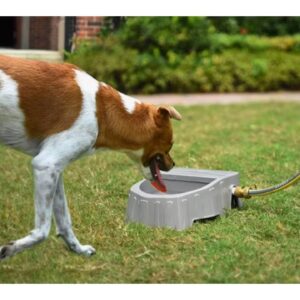 קערת מים אוטומטי + צינור 3 מטר - 1.4 ליטר