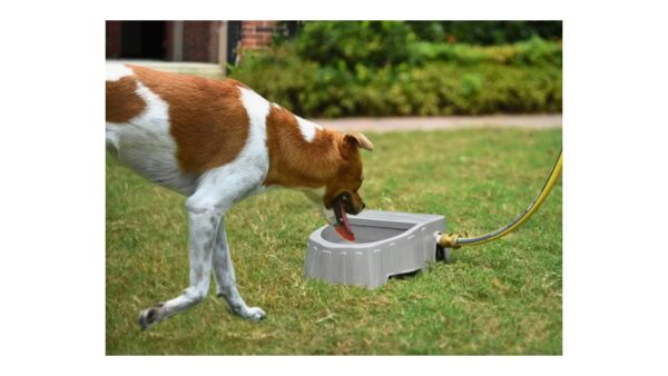 קערת מים אוטומטי + צינור 3 מטר - 1.4 ליטר