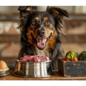 אבסולוט הוליסטי מזון טבעי לכלבים ברווז אפונה ודלעת - 2 ק"ג