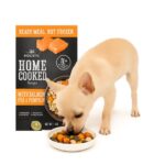 אבסולוט הוליסטי מזון טבעי לכלבים סלמון אפונה ודלעת - 2 ק"ג