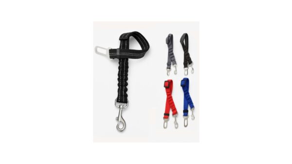 חגורת בטיחות לבעלי חיים