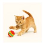 כדור מוקצף לחתול מארז - 3 יח'