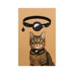 קולר לחתול עם מגן אייר תג עמיד למים במגוון צבעים