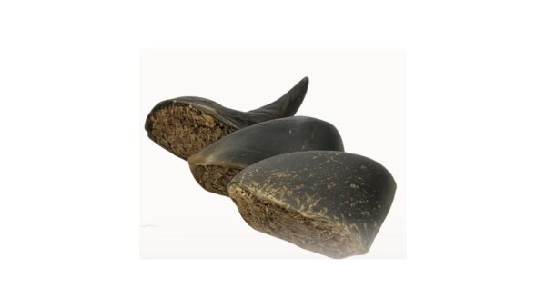 פרסה ממולאת קרניבור 100% טבעי