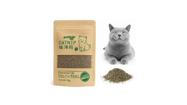 catnip, עלי קטניפ אורגני בשקית - 10 גרם