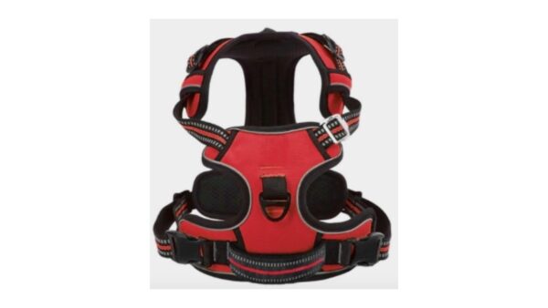 Petgrin,רתמה איכותית לכלב במידות: S / M / L / XL - בצבעים שחור או אדום.