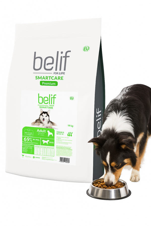 BELIF, בליף מזון פרימיום לכלבים בוגרים כבש - 18 ק"ג