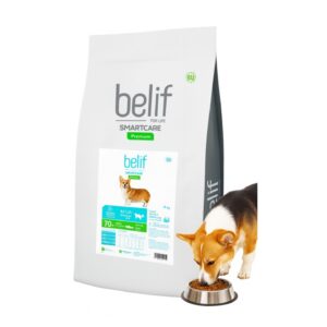 BELIF, בליף מזון פרימיום לכלבים בוגרים סלמון - 18 ק"ג