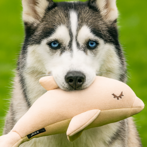 PEPS, צעצוע איכותי לכלב דמוי דולפין - 27 ס"מ