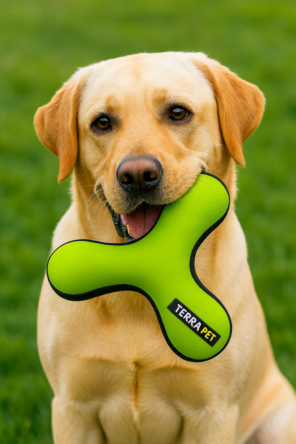 משולש נשיכה לכלבים מגזע בינוני/גדול - 21 ס"מ