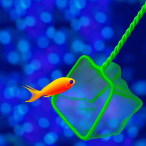 רשת לאקווריום דגם FH - '4