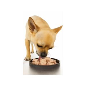 Absolute Holistic, מזון רטוב פטה איכותי לכלבים בטעם ברווז  תוצרת הולנד - 100 גרם