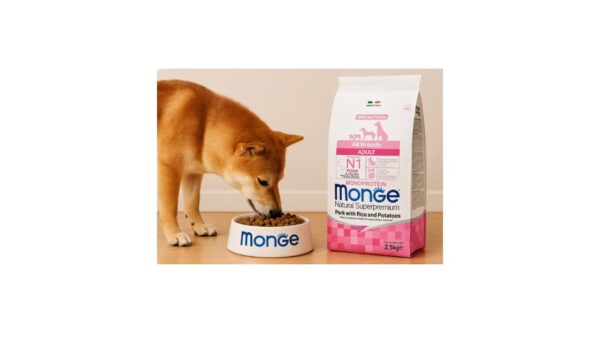 מונג' נטוראל, מזון יבש לכלבים בוגרים מכל הגזעים, בשר חזיר אורז ותפוחי אדמה - 2.5 או 12 ק"ג