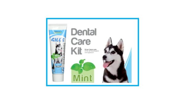 CROCI, קרוקי ערכה לצחצוח שיניים לכלבים בטעם מנטה: משחה 100 גרם, מברשת, אצבעון * 2